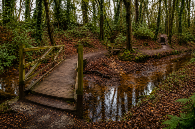 Roe Valley Country Park