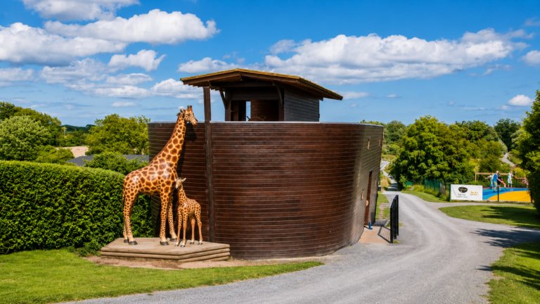 Ark Open Farm